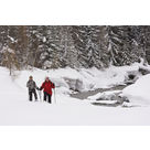 Sentiers piéton hiver de Champagny-le-Haut