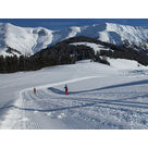 activit de montage Piste de ski de fond : Piste de fond - Odier