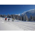 activit de montage Piste de ski de fond : Itinéraires ski de fond du plateau du Prarion