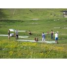 activité de montage Golf : Parcours de mini-golf - Bureau des Activités Sportives de l'Office Municipal de Tourisme
