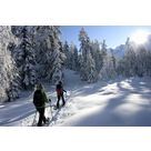 Sorties collectives raquettes : De la neige au glacier - Ecole de ski français