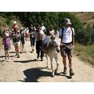 Petite balade à dos d' âne accompagné - Office Municipal de tourisme d'Auris en Oisans
