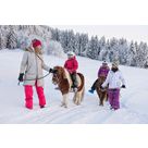 Balade à poney sur neige