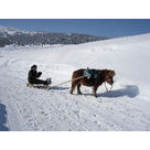 Balade "Poney luge", Nature Pass hiver