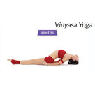 Yoga Vinyasa (avec Koby)