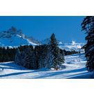 activit de montage Piste de ski alpin : Les forêts de Méribel et Courchevel