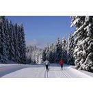 activit de montage Piste de ski de fond : Piste typée randonnée nordique - nordic trace