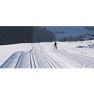 activité de montage Piste de ski de fond : Ski Nordique