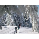 activité de montage Piste de ski de fond : Ski Nordique Col de Barioz