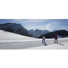 activit de montage Piste de ski de fond : Ski Nordique