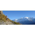 Trail et Alpirunning